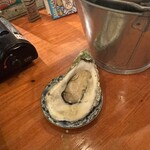 ごぼうのてっぺん - 