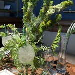 District Brasserie, Bar, Lounge - 