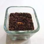 シック プッテートル - パルミジャーノのクッキー　キャラウェイシード