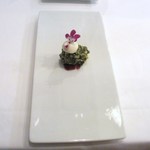 シック プッテートル - フォアグラのテリーヌ、ピスターシュで包んで、ホワイトチョコのムース