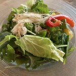 TEPPANYAKI 10 FUKUOKA - ずわい蟹のサラダ　アップ