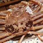 富小路 やま岸 - 