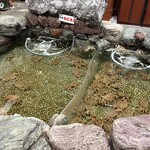 札幌 かに本家 札幌駅前本店 - 