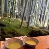 休耕庵 竹の庭の茶席