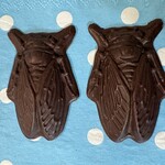 森森舎 - セミ　きれいにできるでしょ　型を作った店長さんがスゴイのです♡