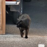 杉国商店 - クロ。