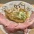 野口太郎 ラーメン - 料理写真:太郎ラーメン