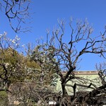 オーケー 新杉田店 - 妙法寺