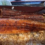 鰻 源内 - 【2026.1.17(土)】鰻重