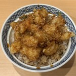 池田屋 - 「かき揚げ」だとイマイチ写真では伝わらないですね