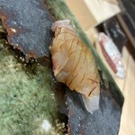 鮨 KINARI