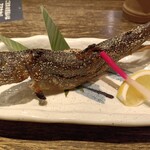 小川の魚 - 