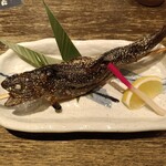 小川の魚 - 