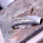 立ち鮨 なかもと - 