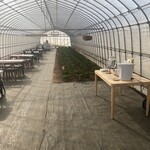 畑cafe ランタナ - お食事処の内観。