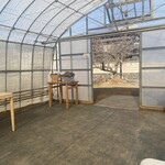 畑cafe ランタナ - ブランケットが置いてあり、自由に使えます。