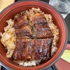 松ぼっくり - 