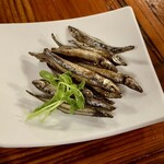 薩摩おごじょ - 