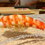 鮨　いの - 車海老