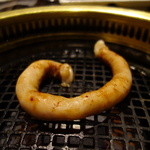 Nikushou Mizuki - 一本丸腸