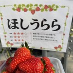 山銀ぶどう園 - 