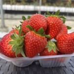 山銀ぶどう園 - 