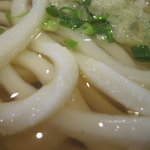 讃岐うどん 條辺 - かけアップ