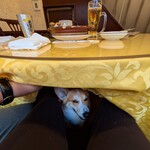 横浜中華街 四川麻婆 - 