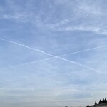 松屋/松のや - 料理写真: