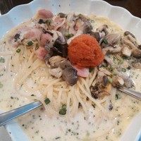 パスタハウス トライアングル 仙台 パスタ 食べログ パスタハウス トライアングル 仙台 パスタ 食べログ