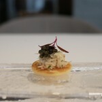 ドミニク・ブシェ トーキョー - 