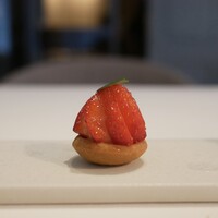 ドミニク・ブシェ トーキョー - 