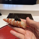 照寿司 - 豊前海、天然車海老のオシェトラキャビア載せ