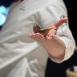 照寿司 - 玄界灘の鯖バタフライ