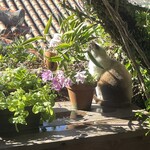 琉球料理 ぬちがふぅ - 