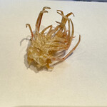 天ぷら 福たろう - 