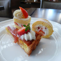 Lounge & Dining G - 