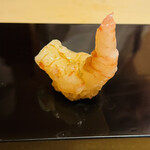 恵比寿 鮨 ふじまさ - 