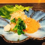 SHINRA YORO VALLEY - 