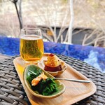 SHINRA YORO VALLEY - 