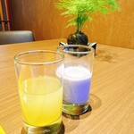 SHINRA YORO VALLEY - 