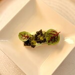 デュ・ヴァン・ハッシシ - 