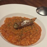 渋谷個室イタリアンダイニング アジト リュクス - 