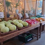 マルシェ ヴィソン - 