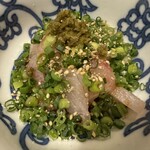 チョロ松 - しまあじの琉球