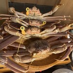 麻布十番 きた福 - 