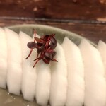 おでんとお蕎麦居酒屋じんべえ - 