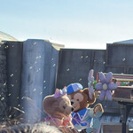 カフェ ポルトフィーノ - ダッフィがお好きな方は、このエリアでは右だと最後まで追えますよ。ちなみに私は左、前から2列目でした