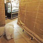 アンディカフェ - お隣の様子が気になります・・