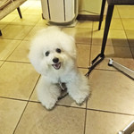 ソファーなくなっちゃいましたネ！